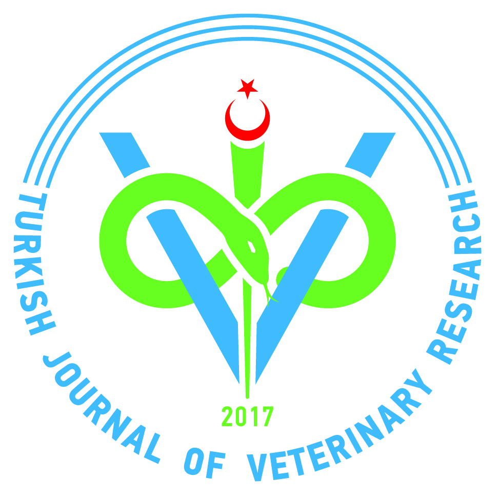 Ebubekir Ceylan Profile